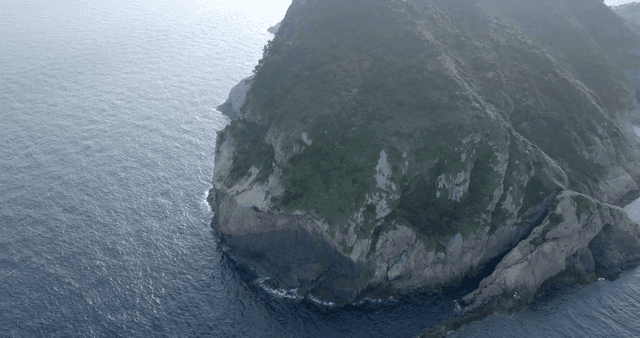 A lush green island surrounded by ocean