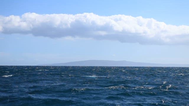 바다 파도에서 나타난 고래 꼬리