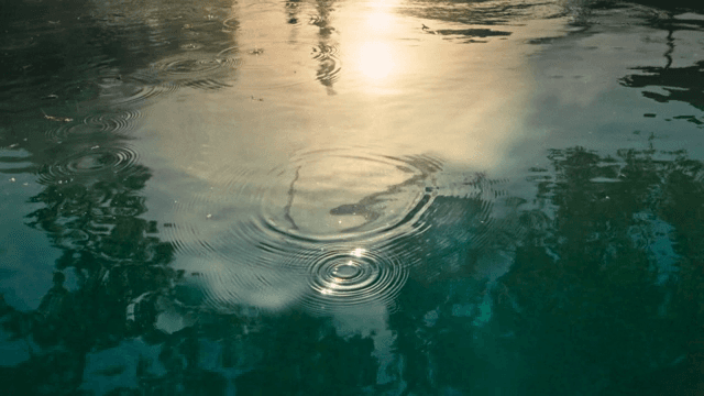 수면 위로 떨어지는 빗방울