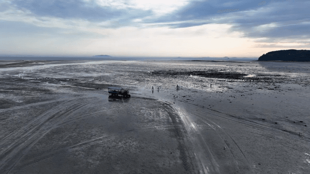 넓은 갯벌 위의 관광버스