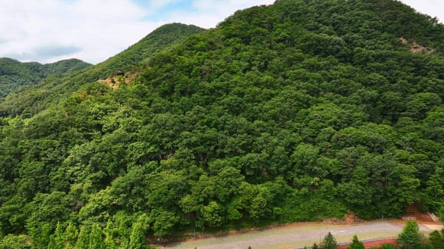 산비탈을 덮은 푸른 숲
