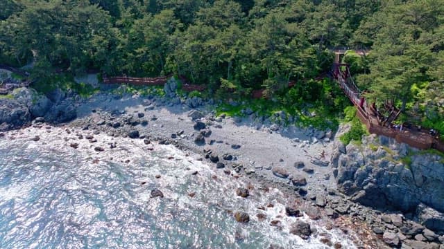 자갈이 있는 절벽과 숲이 있는 해안 도시 풍경