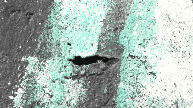 Frog peeking its head out through crack in wall