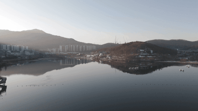 Tranquil lake set against cityscape.