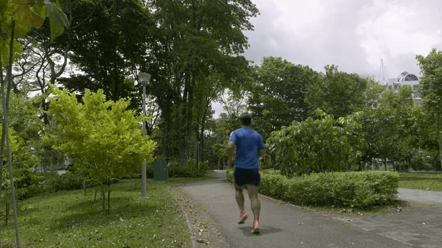 Person jogging on park path surrounded by green trees