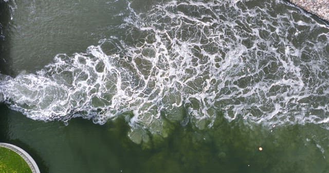 해안에 부딪히는 파도