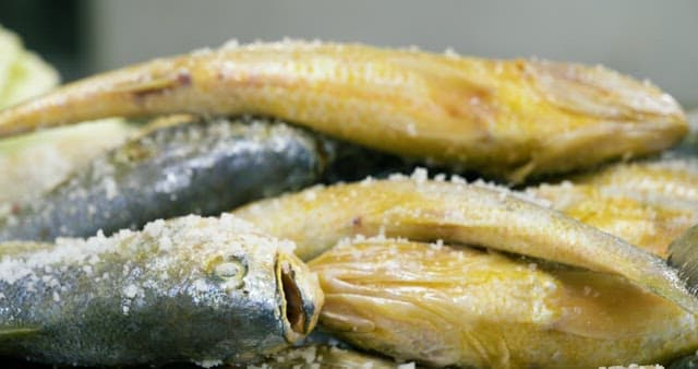 염장을 위해 소금이 잔뜩 뿌려진 생선들