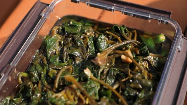 용기에 담긴 먹음직스럽고 짭짤한 시금치 장아찌