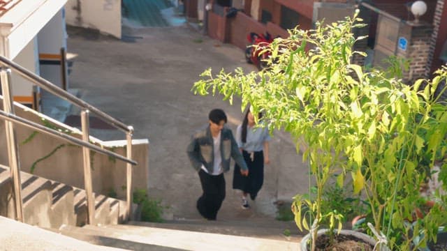 Couple walking up sunny stairs