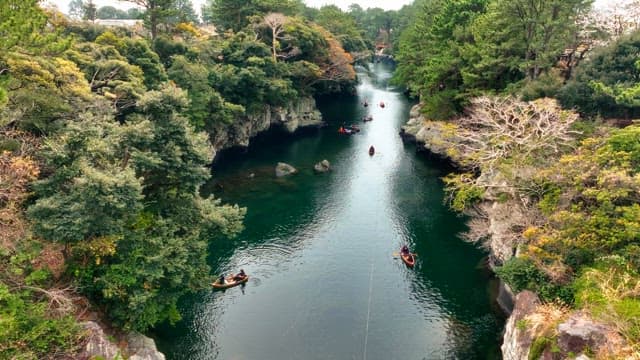 People kayaking in a scenic river surrounded by trees