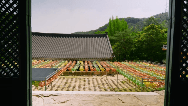 전통 사찰의 다채로운 등불