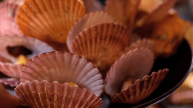Bowl of fresh scallops served on a table