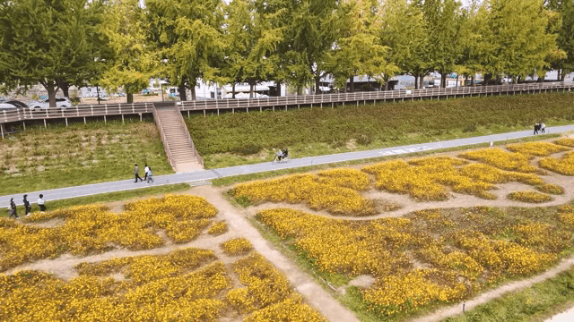 공원에서 산책하고 자전거 타는 사람들