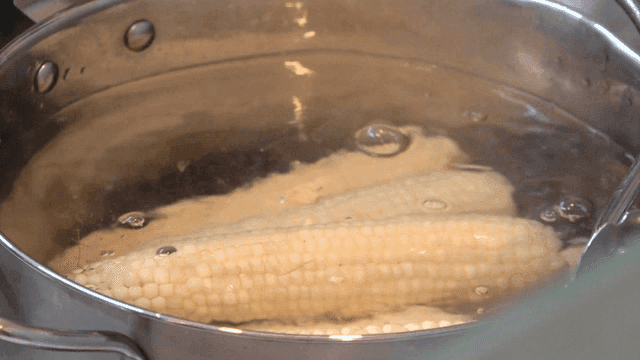 Corn boiling in a pot of water