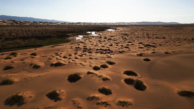 Camel procession crossing the desert