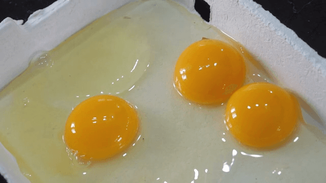 계란 노른자 세 개가 담긴 상자