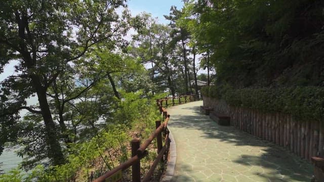 싱그러운 숲속의 평화로운 산책로