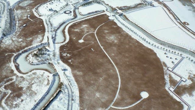 눈 덮인 겨울의 나무와 들판