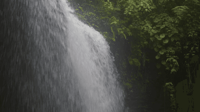 Waterfall surrounded by blue forest