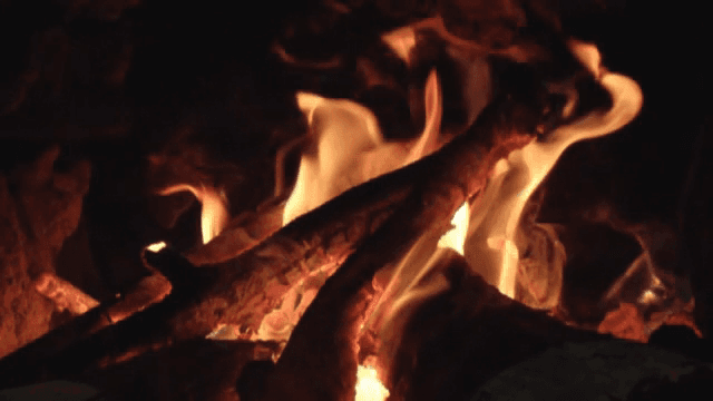 Burning logs with bright flames