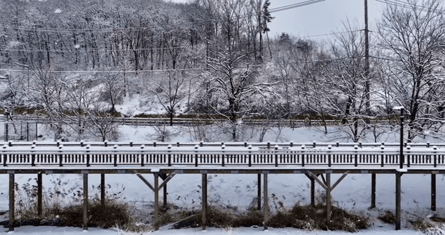 눈 덮인 다리와 숲