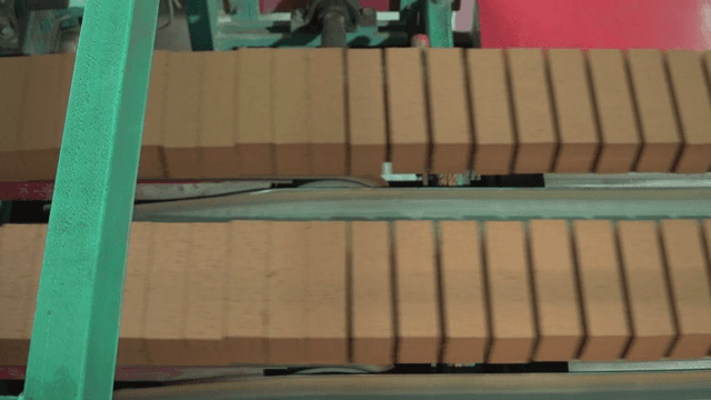 Bricks moving on a conveyor belt