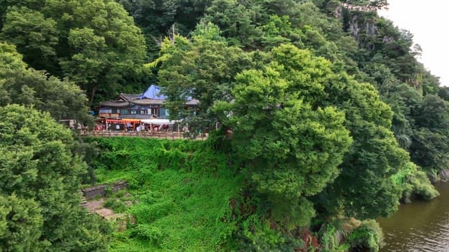 푸른 숲에 둘러싸인 전통 한국 사찰
