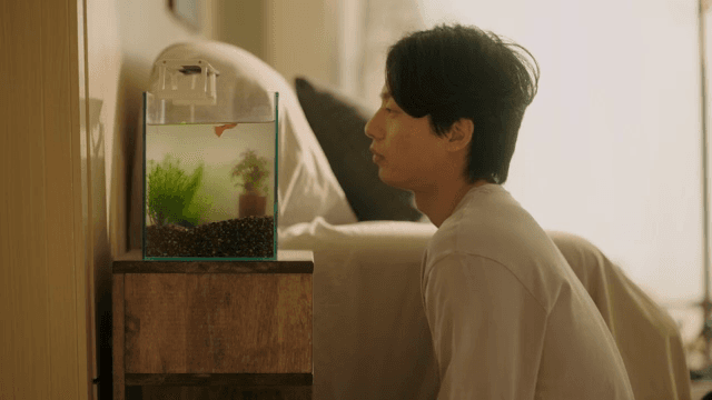 거실에서 어항을 바라보는 남자