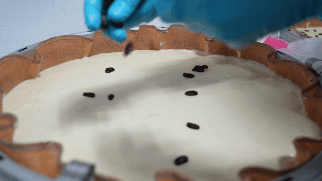 Gloven's hand placing beans on makgeolli steamed bread