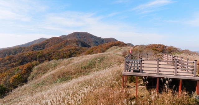 Scenic Autumn Mountain Trail with Observation Deck