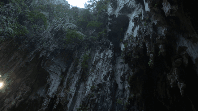 Lush cave with towering rock walls