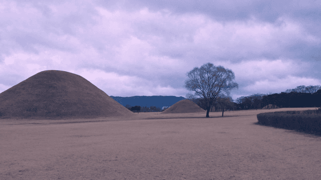 고요한 대릉원 지역의 고분