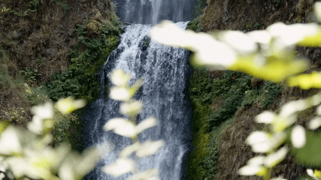 푸른 숲으로 둘러싸인 고요한 폭포