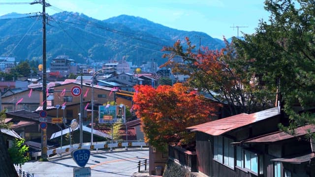산자락을 배경으로 가을 단풍이 돋보이는 마을 풍경