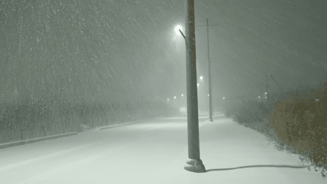Snowy street with streetlights at night