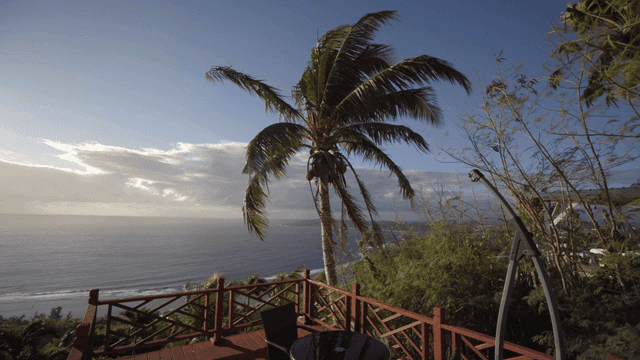 바다와 야자수가 있는 경치