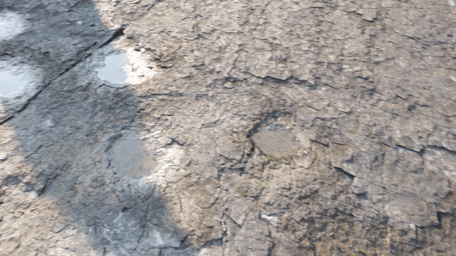 Rocky surface with small water pools