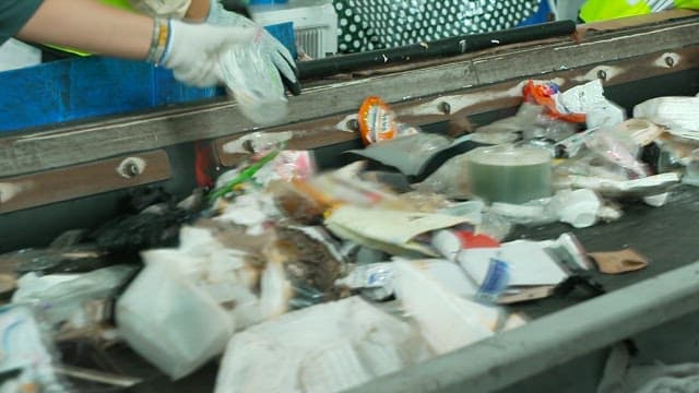 Workers sorting mixed waste on a recycling conveyor belt