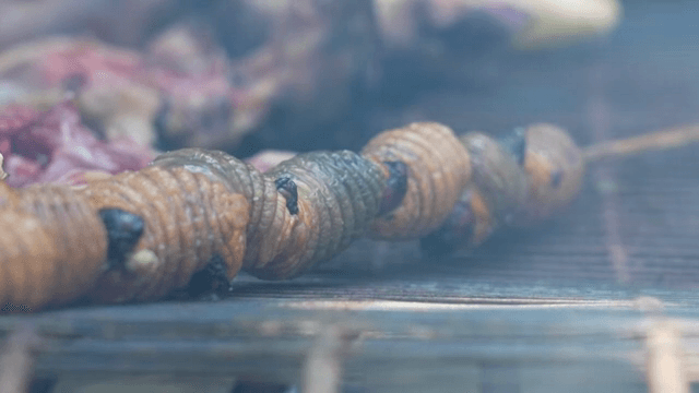 바비큐에서 구워지는 애벌레 꼬치