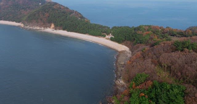 숲으로 둘러싸인 해안 풍경