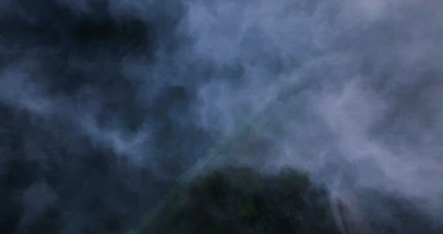 숲을 덮고 있는 짙은 구름