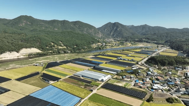 산을 배경으로 한 넓은 농경지