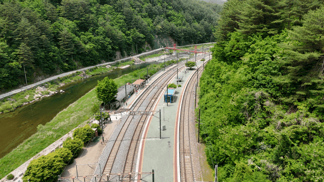 Rural train station surrounded by green forest.