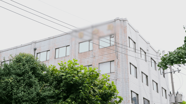 Old building with trees and wires