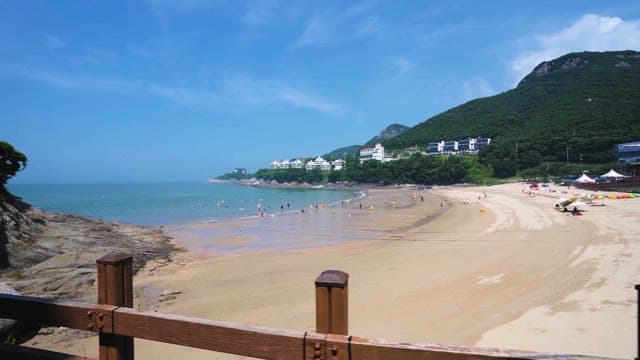 평화로운 해변가를 즐기는 관광객들