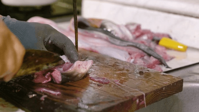 도마 위에서 손질하는 장어