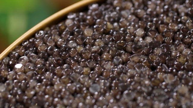 Caviar, Exclusive Ingredient from the Sea