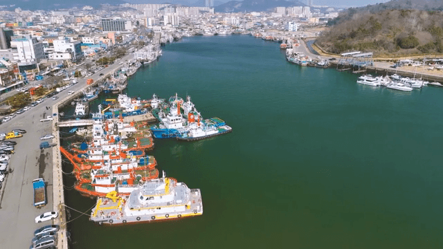 다채로운 배들이 정박한 번화한 항구