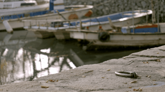 Beach where ships are anchored