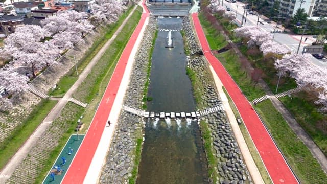 산책로와 분수가 있는 벚꽃이 핀 강